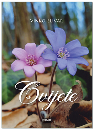 CVIJETE, Vinko Slivar