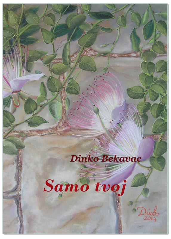 SAMO TVOJ, Dinko Bekavac